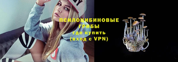 мдма Горнозаводск